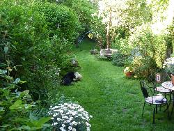 mein Garten